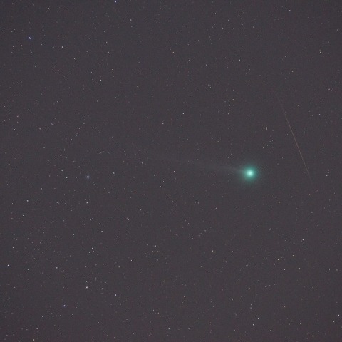 1月13日のラヴジョイ彗星と流星