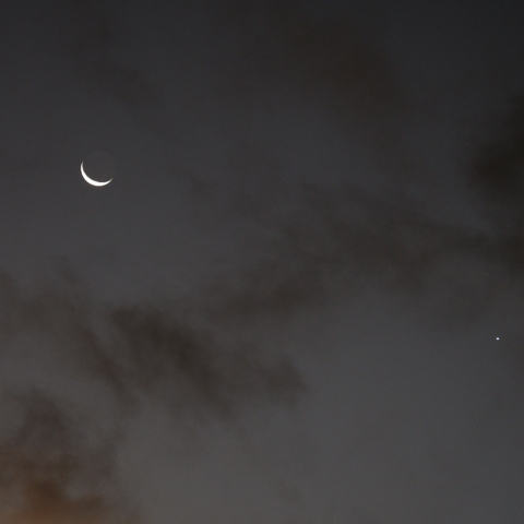 月と金星（7/22）