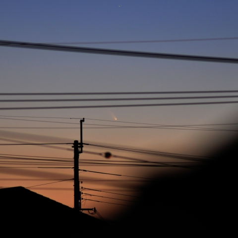 パンスターズ彗星