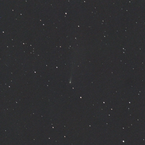 アトラス彗星 C/2025 K1（11/3）