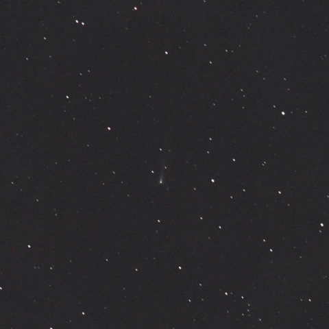 アトラス彗星 C/2025 K1（11/4）