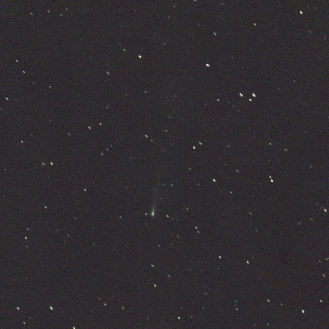 アトラス彗星 C/2025 K1（11/8）