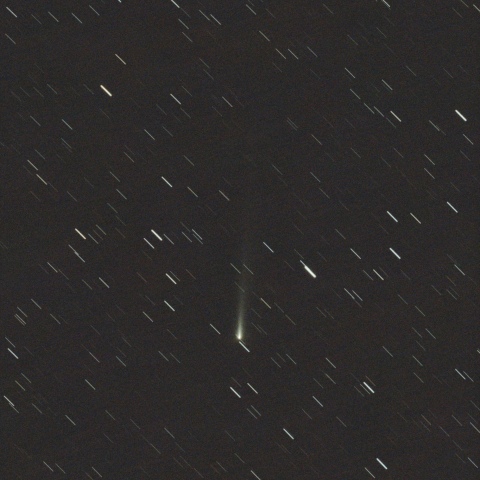 アトラス彗星 C/2025 K1(11/16)