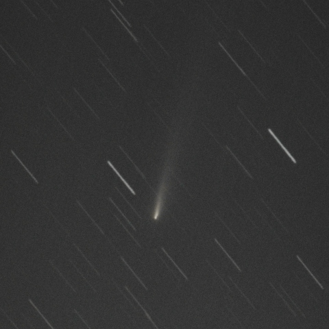 アトラス彗星 C/2025 K1（11/22）