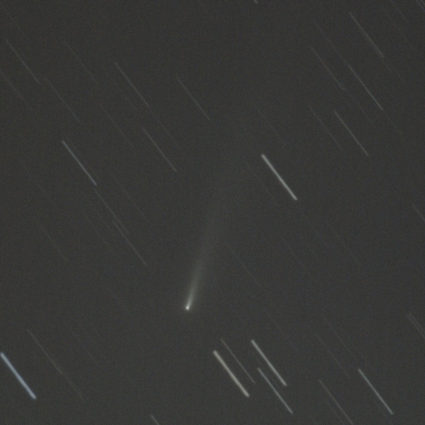 アトラス彗星 C/2025 K1（11/23）