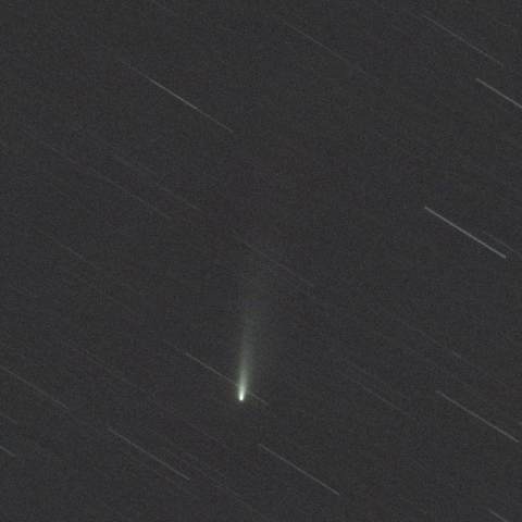 アトラス彗星 C/2025 K1（11/27）