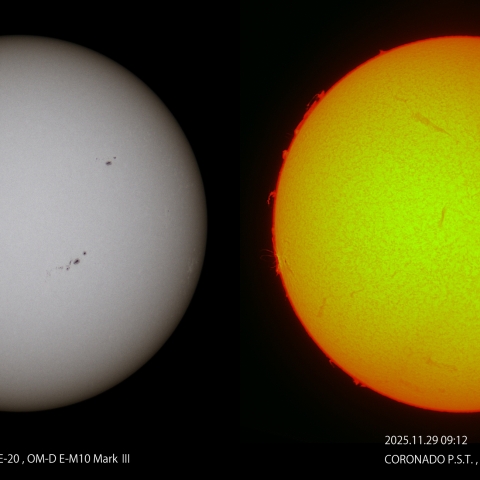 太陽（11/29）