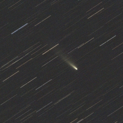 アトラス彗星 C/2025 K1（11/29）