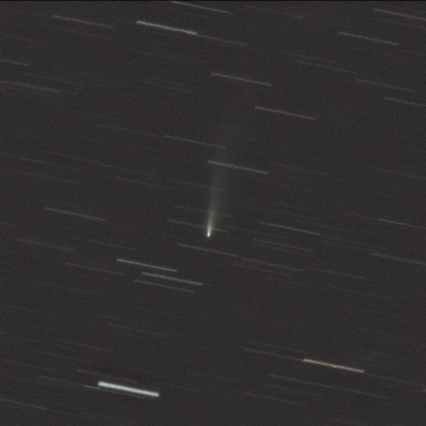 アトラス彗星 C/2025 K1（12/3）