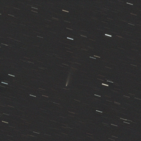 アトラス彗星 C/2025 K1（12/4）