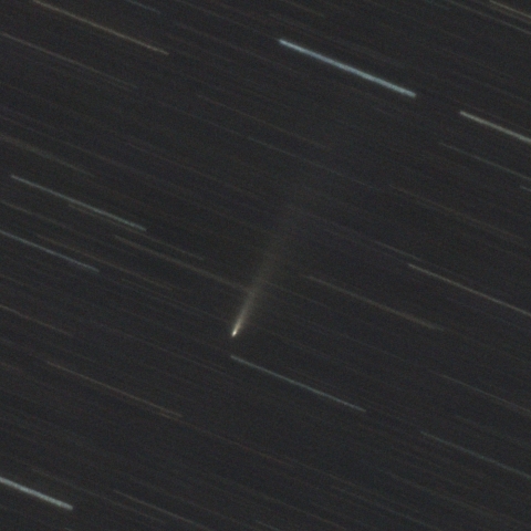 アトラス彗星 C/2025 K1(12/5)