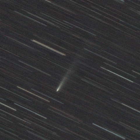 アトラス彗星 C/2025 K1(12/6)