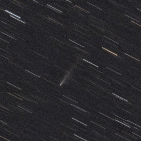 アトラス彗星 C/2025 K1(12/7)