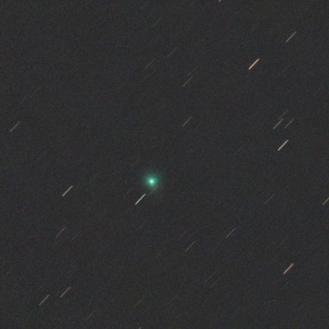 ビエシュホシュ彗星 C/2024 E1（3/1）