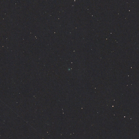 パンスターズ彗星 C/2025 R6（3/17）