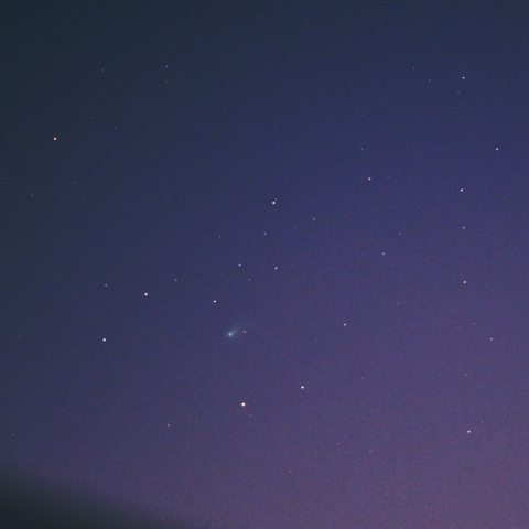 スワン彗星（C/2020 F8）