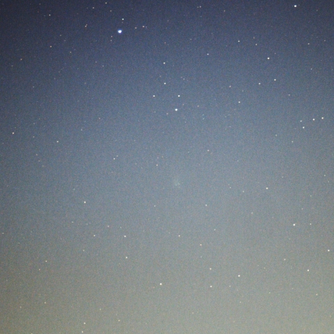 スワン彗星（C/2020 F8）