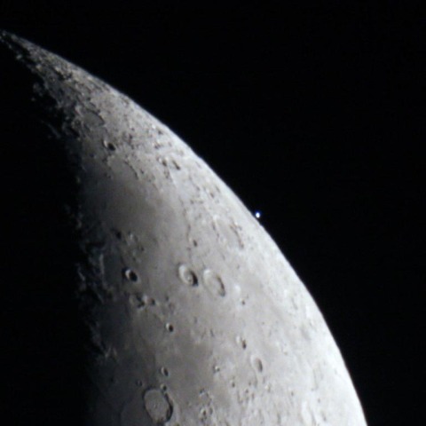 スピカ食　出現