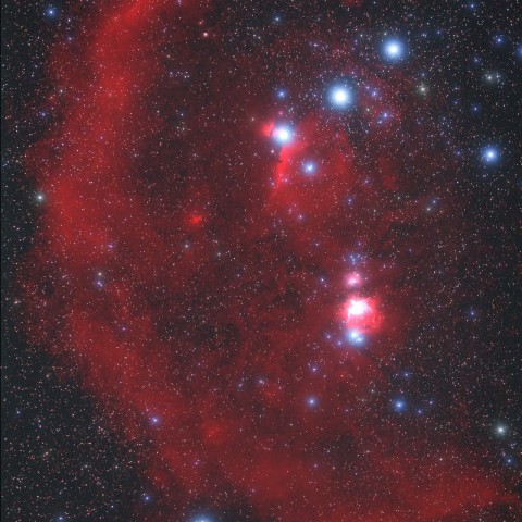 バーナードループ