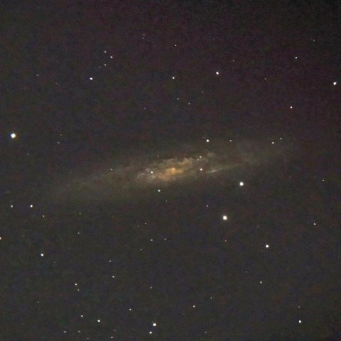 NGC253
