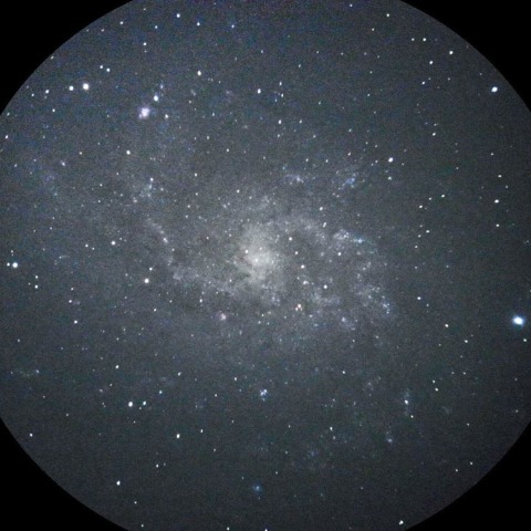 M33
