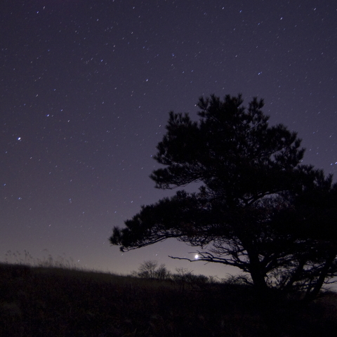 旧臘の星風景２