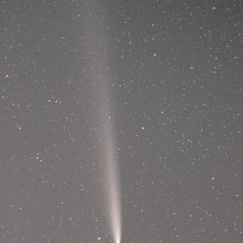 紫金山・アトラス彗星