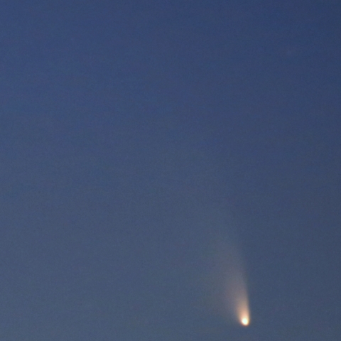 3/15　パンスターズ彗星