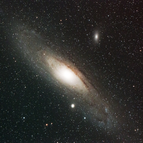 M31