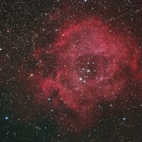 NGC2244　バラ星雲