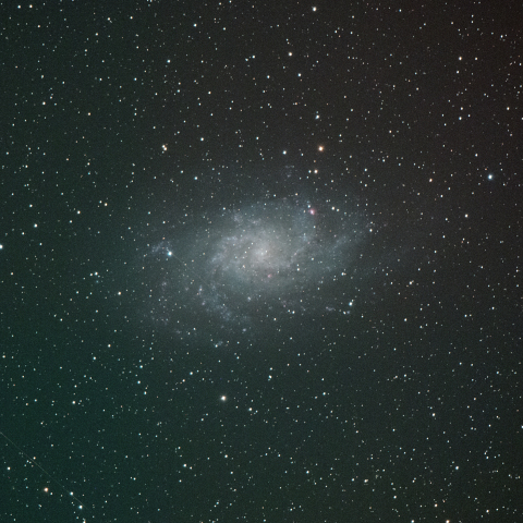 M33