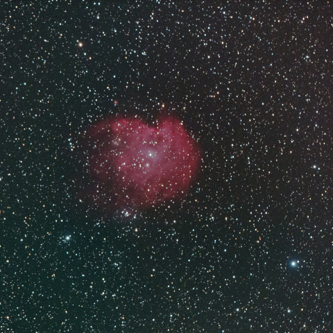 モンキー星雲　NGC2174