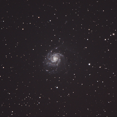 M101