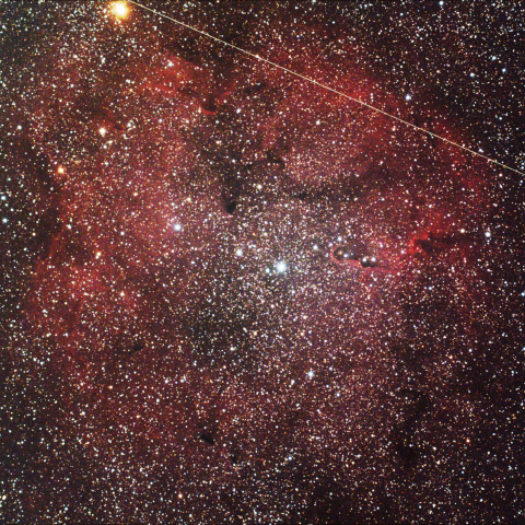 IC1396