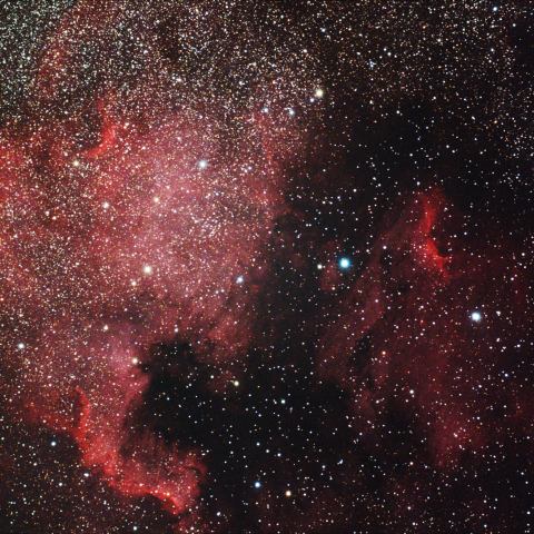 北アメリカ星雲とペリカン星雲