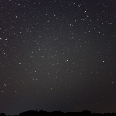南中直後のりゅうこつ座カノープス