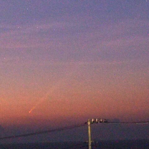 房総・千倉町からの紫金山アトラス彗星