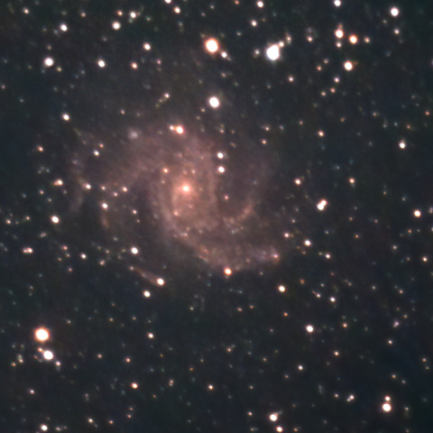 NGC6946 花火銀河