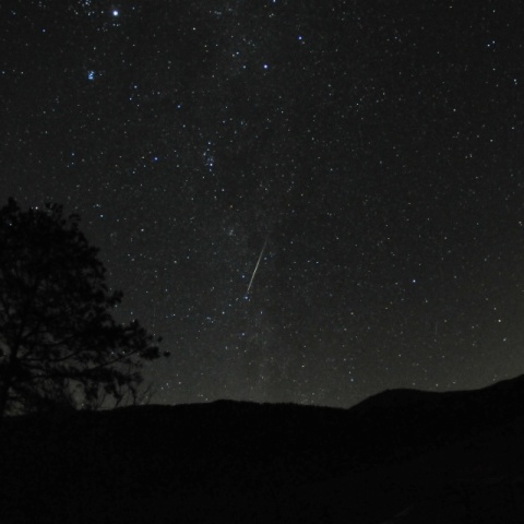 ふたご座流星群