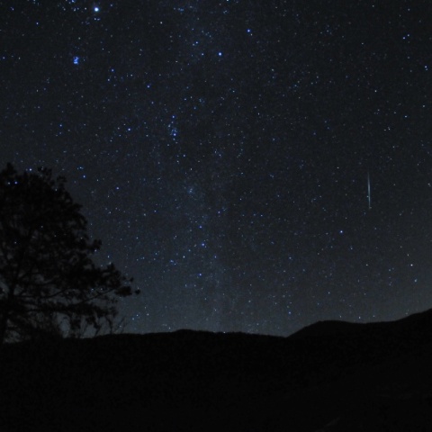 ふたご座流星群