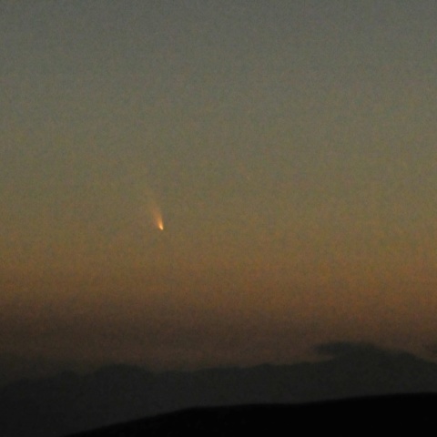 パンスターズ彗星