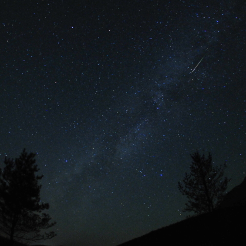 ペルセウス座流星群