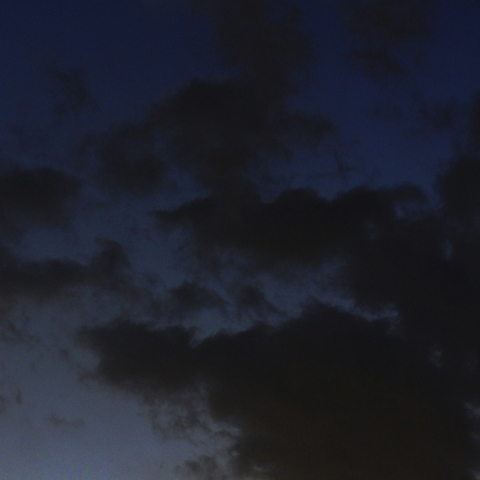 撮れた！パンスターズ彗星