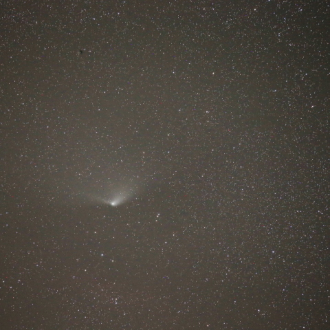 5/3　パンスターズ