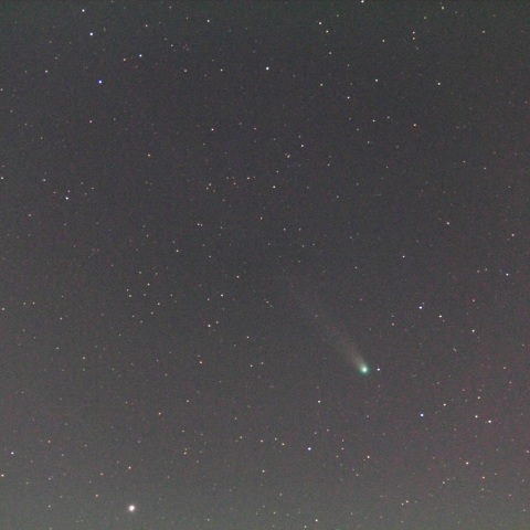 ラブジョイ彗星