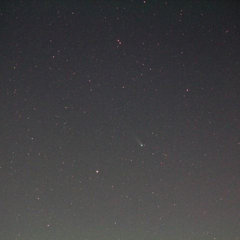 ラブジョイ彗星