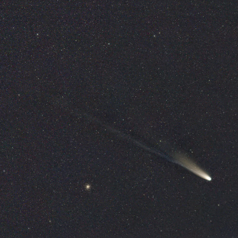 C/2025 A6 & M12 11/3