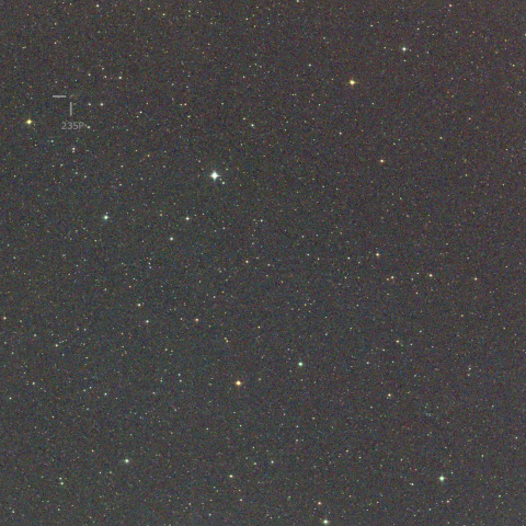 235P & C/2025 L1　2/14