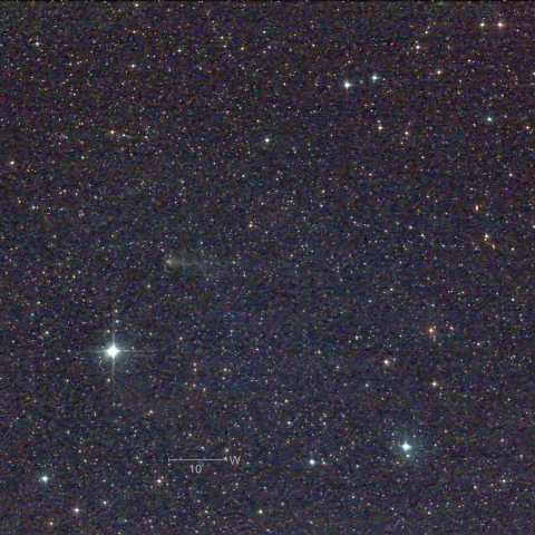 235P　5/17