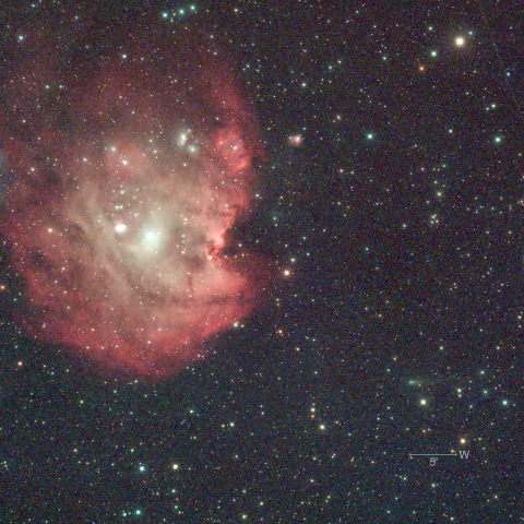 78P & NGC2175　8/23